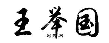 胡问遂王举国行书个性签名怎么写