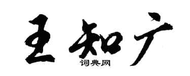胡问遂王知广行书个性签名怎么写