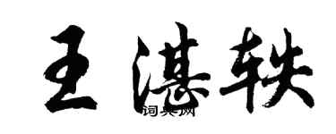 胡问遂王湛轶行书个性签名怎么写