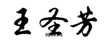 胡问遂王圣芳行书个性签名怎么写