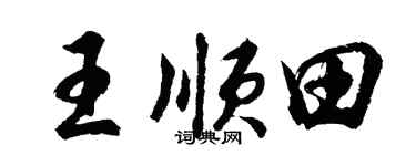 胡问遂王顺田行书个性签名怎么写