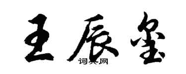 胡问遂王辰玺行书个性签名怎么写