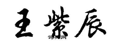 胡问遂王紫辰行书个性签名怎么写