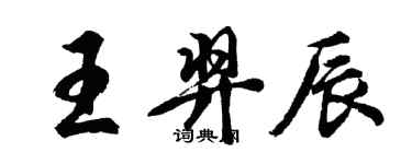 胡问遂王羿辰行书个性签名怎么写