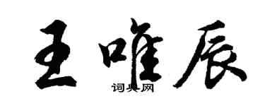 胡问遂王唯辰行书个性签名怎么写