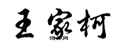 胡问遂王家柯行书个性签名怎么写