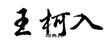 胡问遂王柯入行书个性签名怎么写