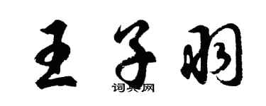 胡问遂王子羽行书个性签名怎么写