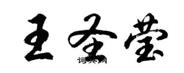 胡问遂王圣莹行书个性签名怎么写