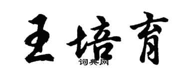 胡问遂王培育行书个性签名怎么写