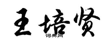 胡问遂王培贤行书个性签名怎么写