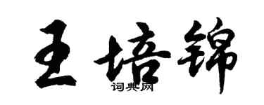 胡问遂王培锦行书个性签名怎么写