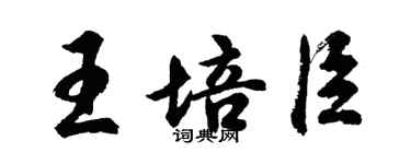 胡问遂王培臣行书个性签名怎么写