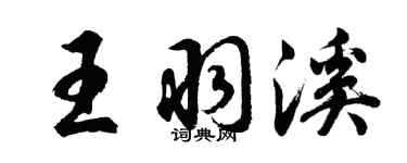 胡问遂王羽溪行书个性签名怎么写