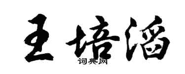 胡问遂王培滔行书个性签名怎么写