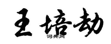 胡问遂王培劫行书个性签名怎么写