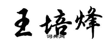胡问遂王培烽行书个性签名怎么写
