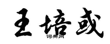 胡问遂王培或行书个性签名怎么写