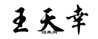 胡问遂王天幸行书个性签名怎么写