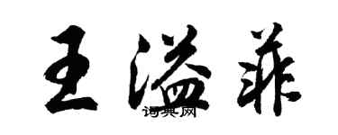 胡问遂王溢菲行书个性签名怎么写