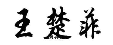 胡问遂王楚菲行书个性签名怎么写