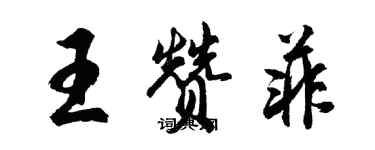 胡问遂王赞菲行书个性签名怎么写