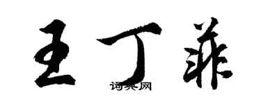 胡问遂王丁菲行书个性签名怎么写