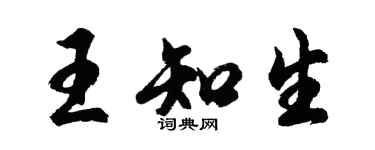 胡问遂王知生行书个性签名怎么写