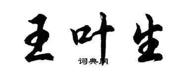 胡问遂王叶生行书个性签名怎么写