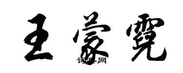 胡问遂王蒙霓行书个性签名怎么写