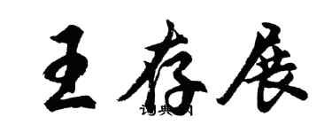 胡问遂王存展行书个性签名怎么写