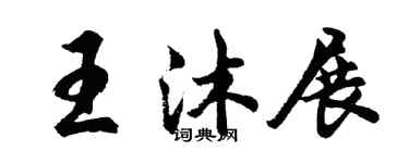 胡问遂王沐展行书个性签名怎么写