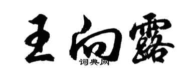 胡问遂王向露行书个性签名怎么写