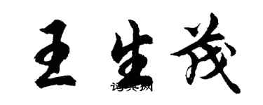 胡问遂王生茂行书个性签名怎么写