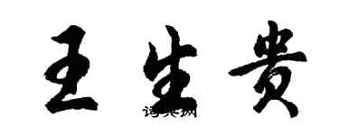 胡问遂王生贵行书个性签名怎么写