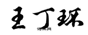胡问遂王丁环行书个性签名怎么写