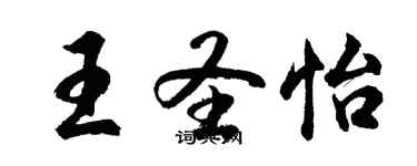 胡问遂王圣怡行书个性签名怎么写