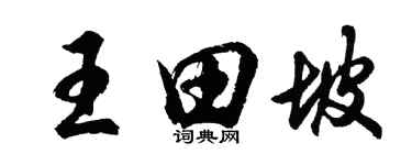 胡问遂王田坡行书个性签名怎么写
