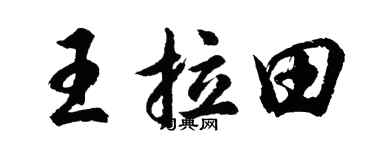 胡问遂王拉田行书个性签名怎么写