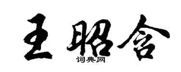 胡问遂王昭含行书个性签名怎么写