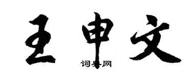 胡问遂王申文行书个性签名怎么写