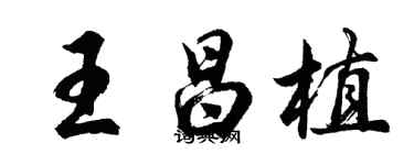 胡问遂王昌植行书个性签名怎么写