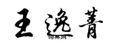 胡问遂王逸菁行书个性签名怎么写