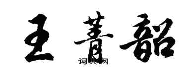 胡问遂王菁韶行书个性签名怎么写