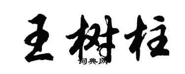 胡问遂王树柱行书个性签名怎么写