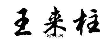 胡问遂王来柱行书个性签名怎么写