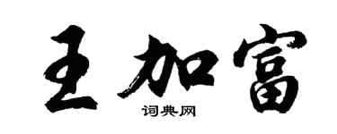 胡问遂王加富行书个性签名怎么写