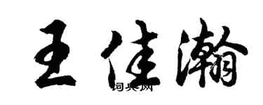 胡问遂王佳瀚行书个性签名怎么写
