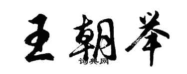胡问遂王朝举行书个性签名怎么写