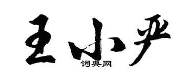 胡问遂王小严行书个性签名怎么写